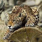 Макс Котов, 08.09, Москва