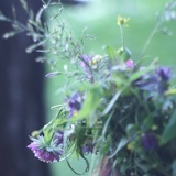 Александра Лесная, 18.06.1990, Москва