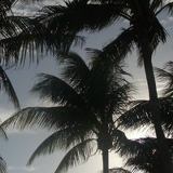 Santi Des, 10.03, Алматы