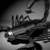 Энвер Ибраимов, 25.10.1981, Симферополь