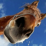 Максим Бойцов, 12.08.1984, Москва