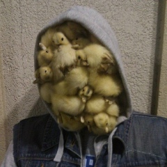 Александр Бацылев, 12.02, Астана