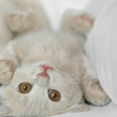 Максим Новиков, 07.04.1995, Кишинев