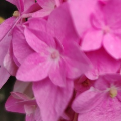 Мария Артемьева, 18.05, Калининград