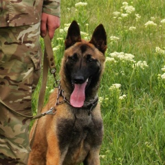 Юрій Добродій, 31.07, Бурштын