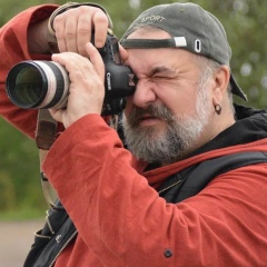 Владимир Ларионов, Санкт-Петербург