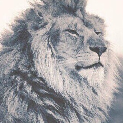 Кенан Аллахвердиев, 10.09, Карабах