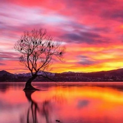 Тетяна Воронцова, 19.07