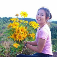 Pan Htwar, 01.02.2004