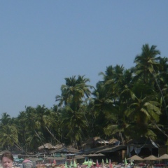 Алексей Мышляев, 08.08.1979, Санкт-Петербург