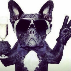 Vladyslav Golub, Киев