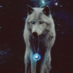 Дмитрий Болгов, 12.01, Красногорск