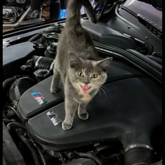 Alain Delon, 06.07, Москва