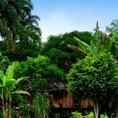 Borya Raupov, Душанбе