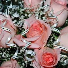 Анастасия Иринина, 25.12.1983, Уфа