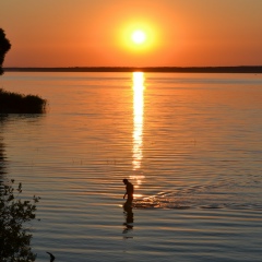 Алексей Валиков, 01.12.1983, Минск