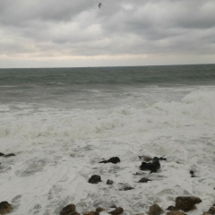 Иван Калякин, 20.03