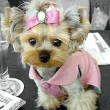 Жанаргул Канаева, 10.03.1992, Джалал-Абад