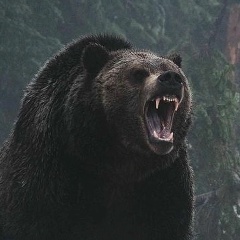 Azamat Koychuev, 27.05.1996, Москва