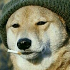 Алексей Васильев, 14.03