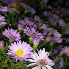 Галина Кубышкина, 13.08.1981, Уральск