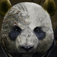 Денис Глухов, 10.02