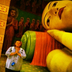 Анна Калашникова, Ростов-на-Дону