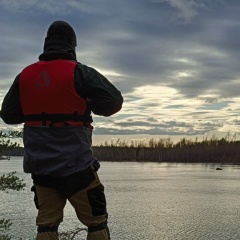 Лес Лесок, Санкт-Петербург
