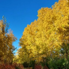 Галина Чимитова, 08.04.1971