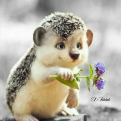 Эльмира Кадырова, 28.11.1976, Алматы