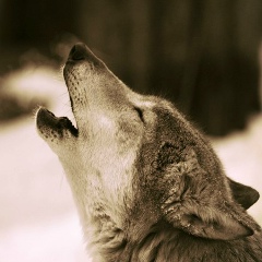 Павел Гусев, 17.09, Балашиха