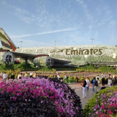 Санжик Насыров, 23.02, Тараз