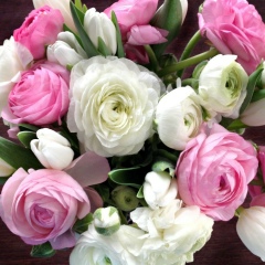 Екатерина Брейнингер, 29.04, Schweinfurt