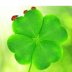 Назигуль Бейсебаева, 22.12.1982, Алматы