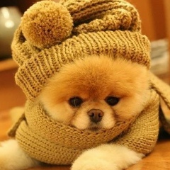 Каришка Серебрякова, 17.07.1996, Нальчик