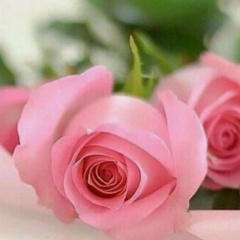 Ирина Макарова, 12.03, Волгоград