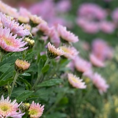 Ольга Холодова, 07.09.1986, Минск