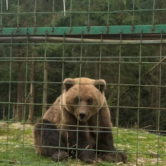 Остап Бесчаров, 11.02.1992, Моршин