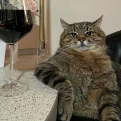 Остап Яворський, 20.07