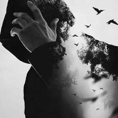 Сергей Вышгородский, 23.11