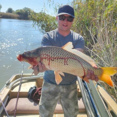 Николай Лихачев, Ставрополь