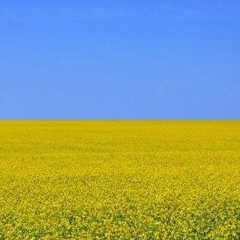 Татьяна Татьяна, Киев