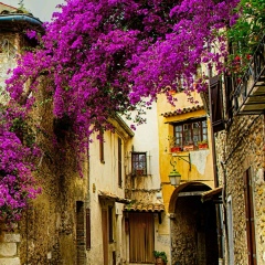 Каринэ Севинян, 23.07