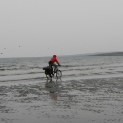 Александр Кожин, 09.01.1985, Санкт-Петербург