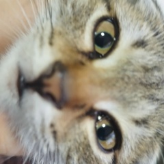 Владислав У, 14.10, Бишкек