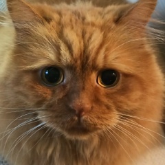 Валя Высоцкая, 23.07.1986, Новосибирск