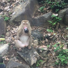 Кристина Сергеевна, 28.09.1901, Санкт-Петербург