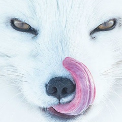 Юлия Аксёнова, 04.03, Иркутск