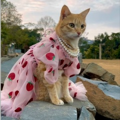 Мария Артемонова, Москва