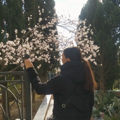 Юлия Ситникова, Севастополь